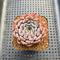 Echeveria 'Jackal' 2" Succulent Plant Cutting