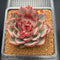 Echeveria 'Melodious' 3"-4" Succulent Plant Cutting