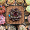 Echeveria 'Black Bear' 2" Succulent Plant Cutting