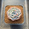 Echeveria 'Heart Emotion' 2" Succulent Plant Cutting