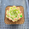 Echeveria 'Snow Flower' 2" Succulent Plant Cutting